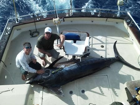 Anglers with giant bluefin tuna on sportfishing boat deck