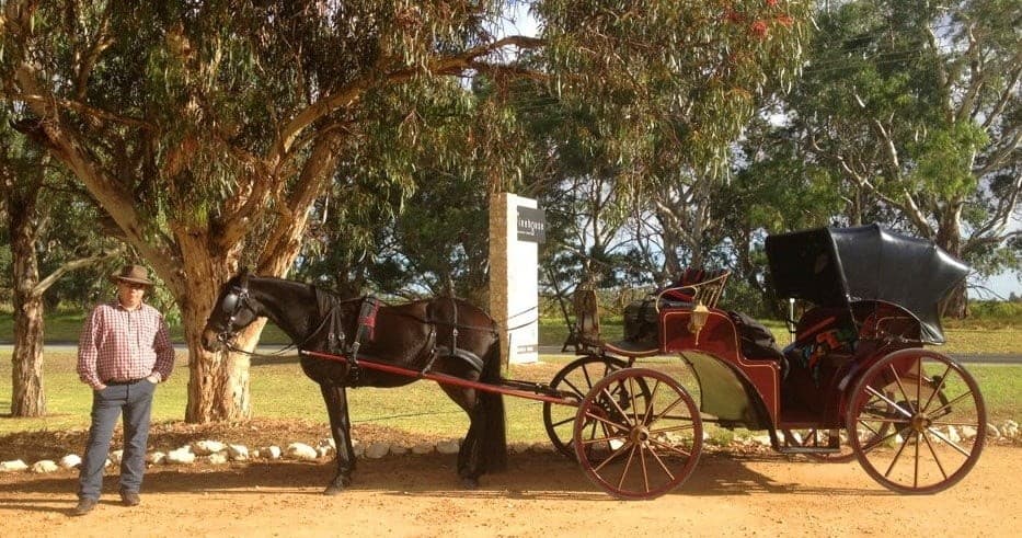 Land Adventures in Langhorne Creek with Horse Drawn Long Lunch