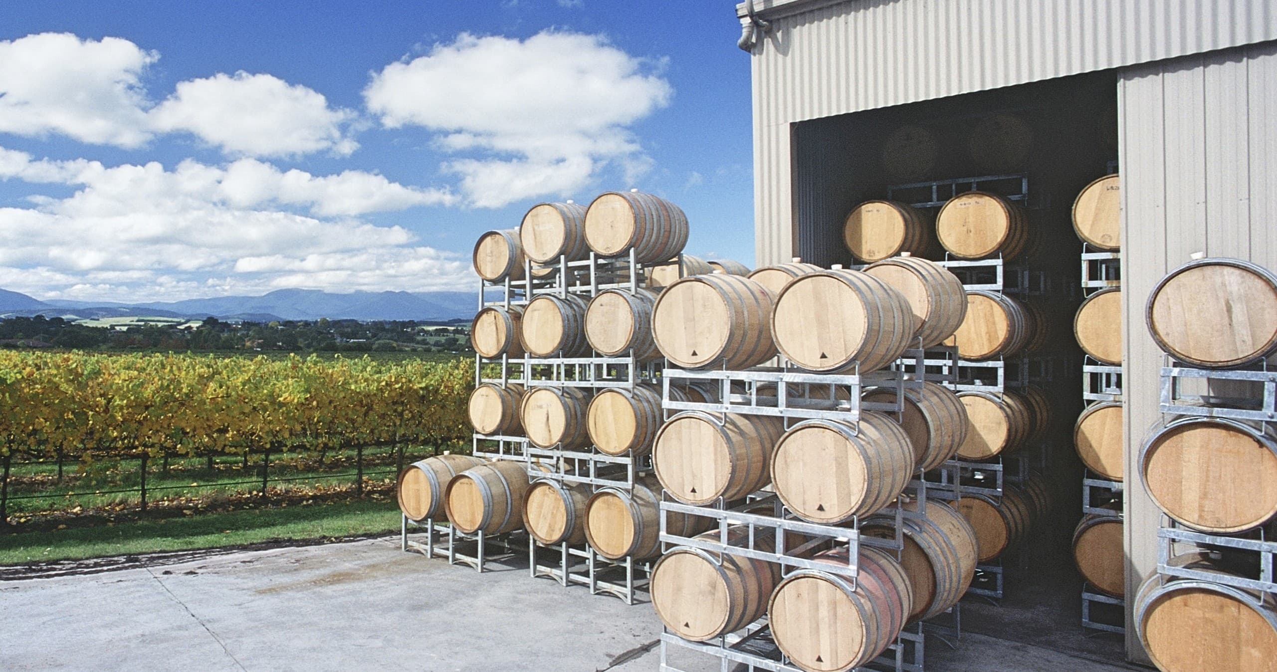 Yarra Valley Wine Tours by Wine Hop And Coastal Tours