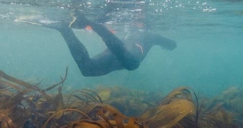 Water Activities & Marine Adventure at Farne Islands