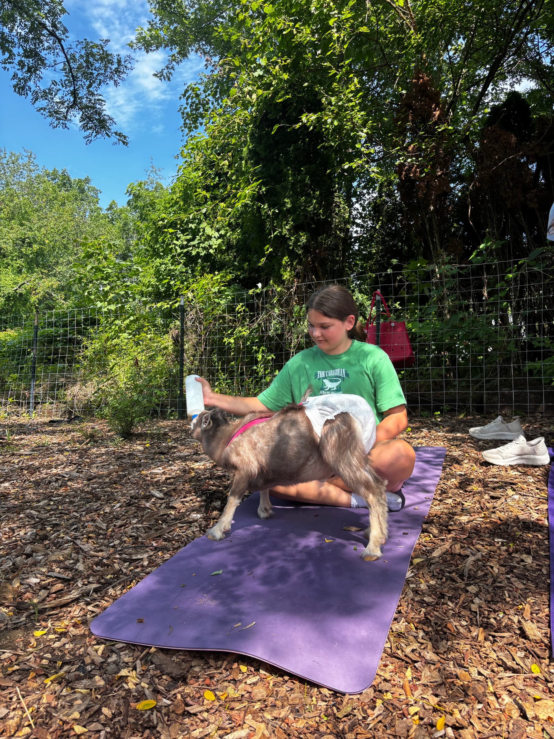 Bottle-Feed and Snuggle Baby Goats at Juice Pod Ridley in Folsom, PA