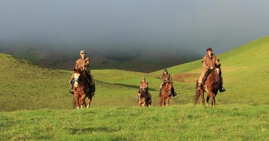 Riders trotting across sunlit grassy volcanic slopes with vistas