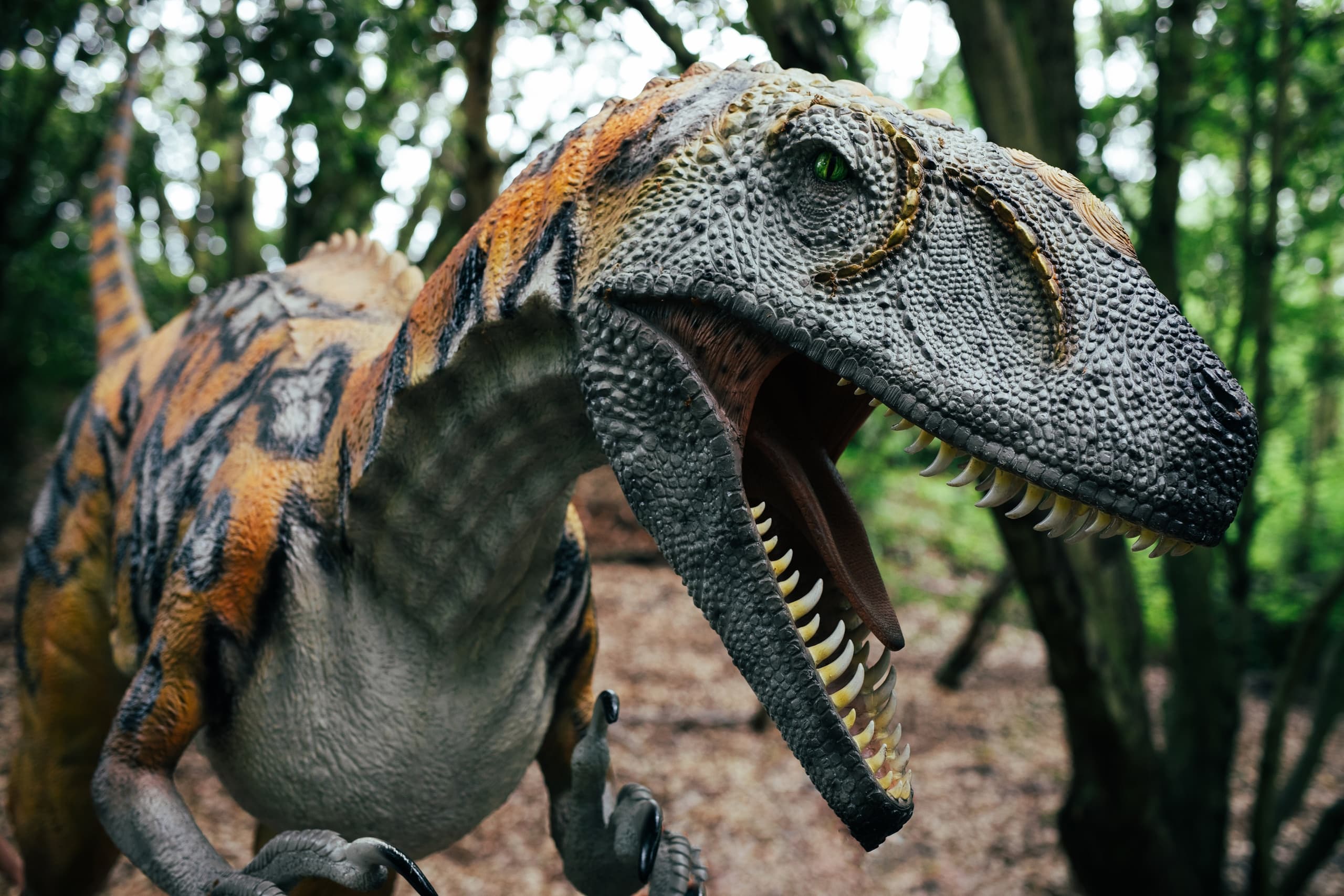 Fossil Hunting Adventure with Betteshanger Park