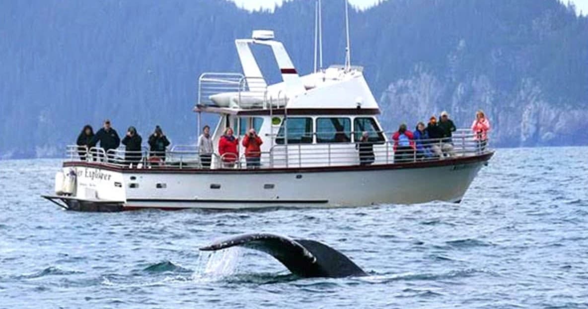 Alaska Saltwater Tours team