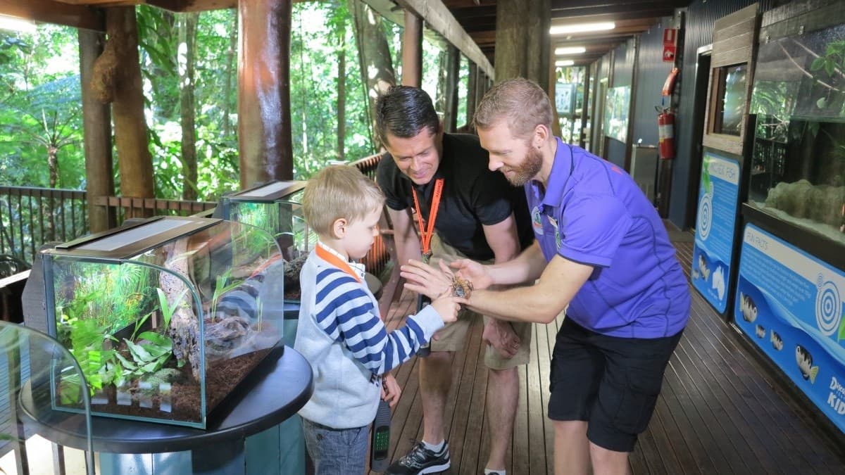 Explore the Daintree Rainforest Discovery Centre: River Cruises, Canopy Walks & Crocodile Spotting