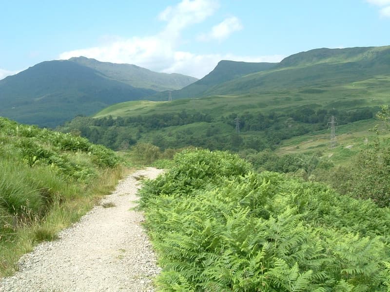 Walk Hill and Glen team
