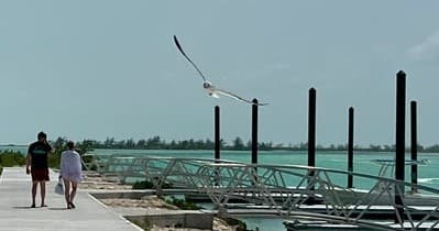 Sail North and Middle Caicos: Mudjin Harbor, Bambarra Beach & Flamingo Park Day Trip photo 1