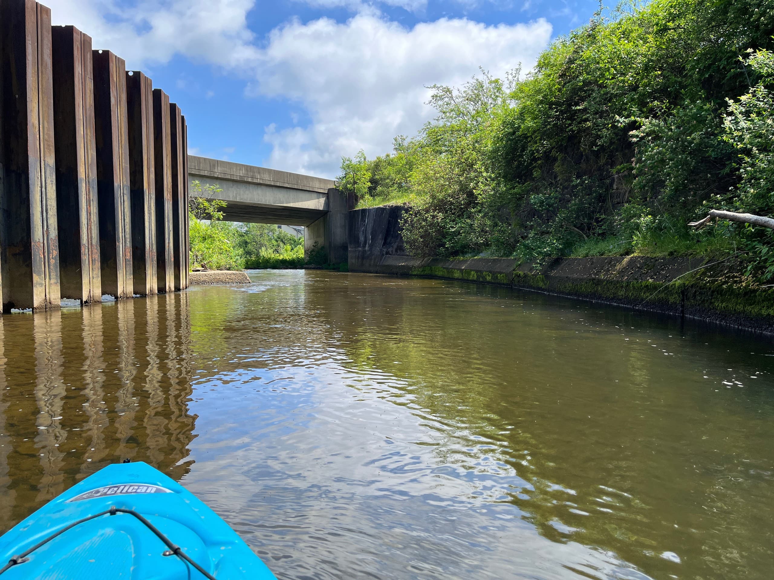 Short Town Float on the Clarion River: Johnsonburg West Branch Paddle photo 2