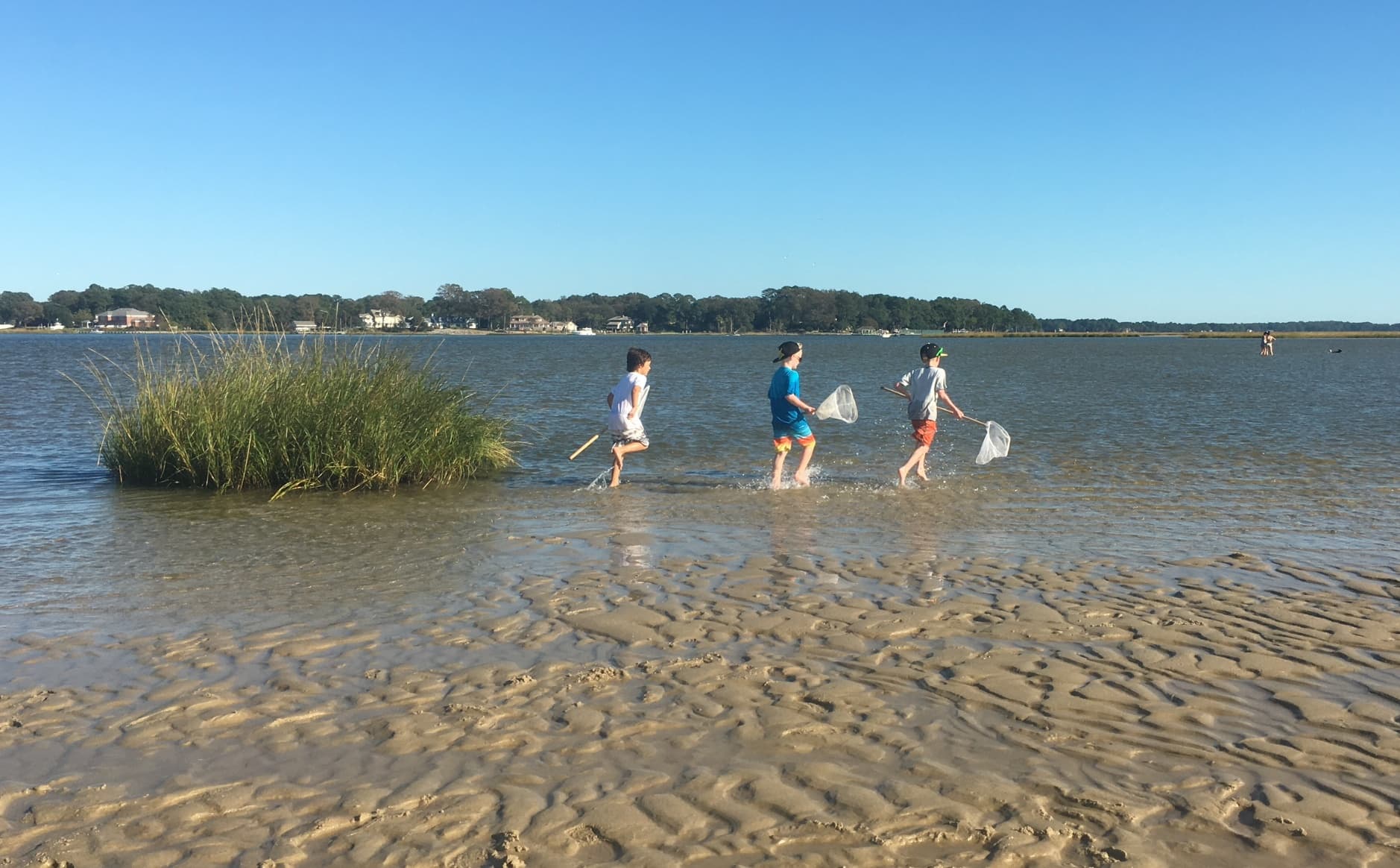 Children wading with nets across shallow sandy tidal flats