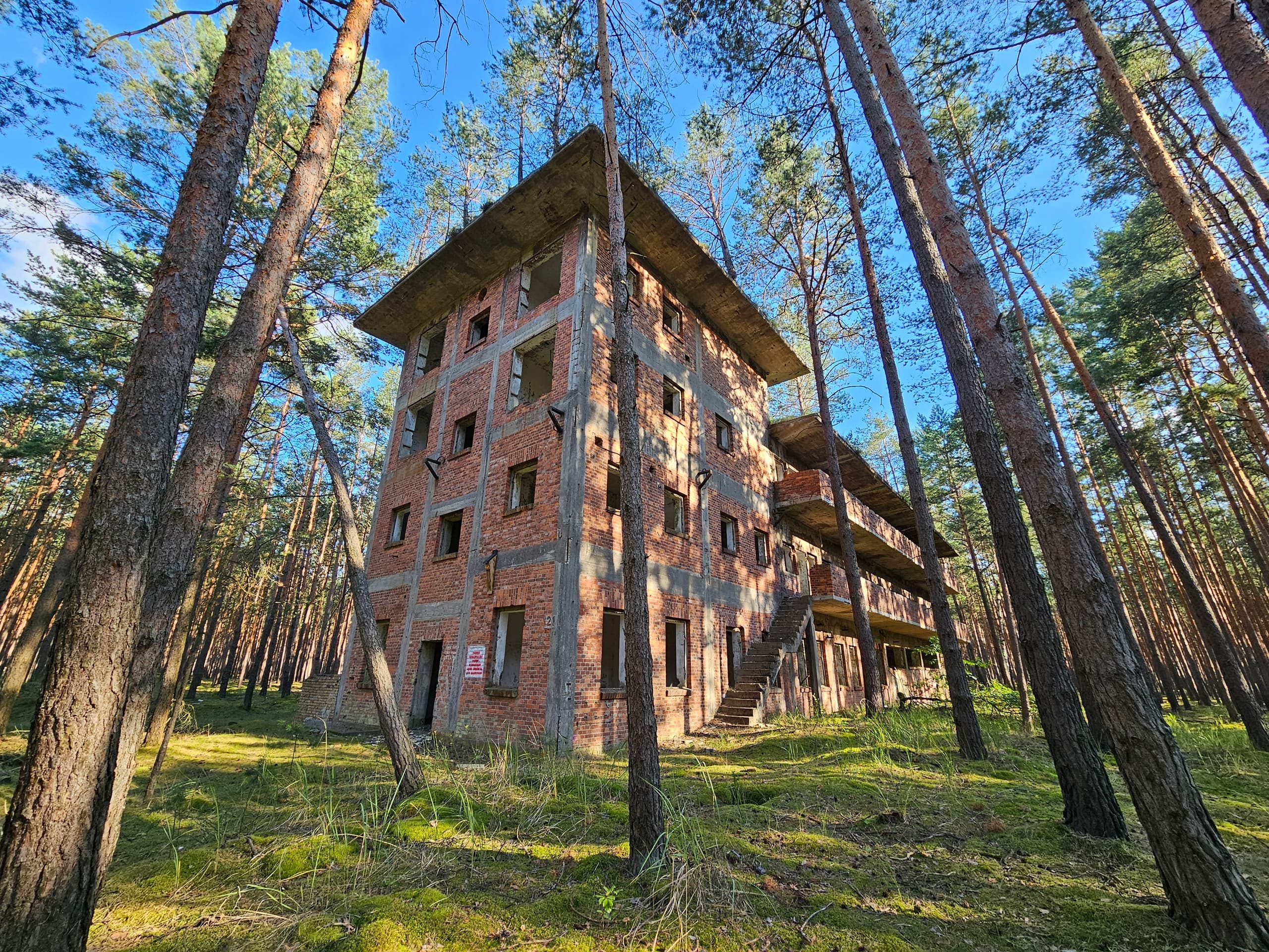 Abandoned brick building in pine forest for exploratory hiking
