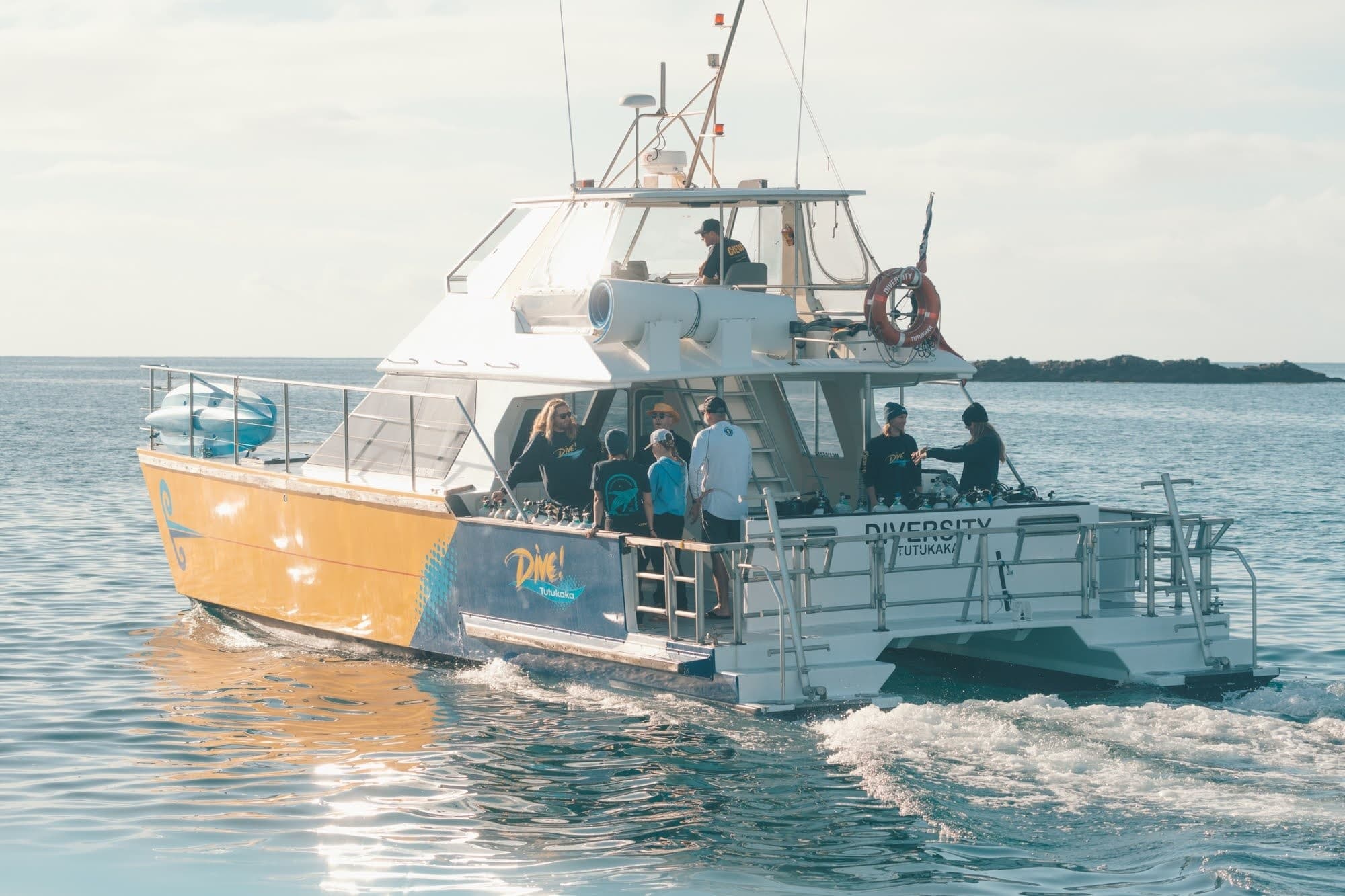 Private 8-Hour Tutukaka Charters to Poor Knights, Twin Wrecks & Sea Caves photo 1