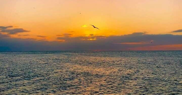 Sunset Cruises with Luck o' The Irish Fishing Charters at Fort Myers Beach