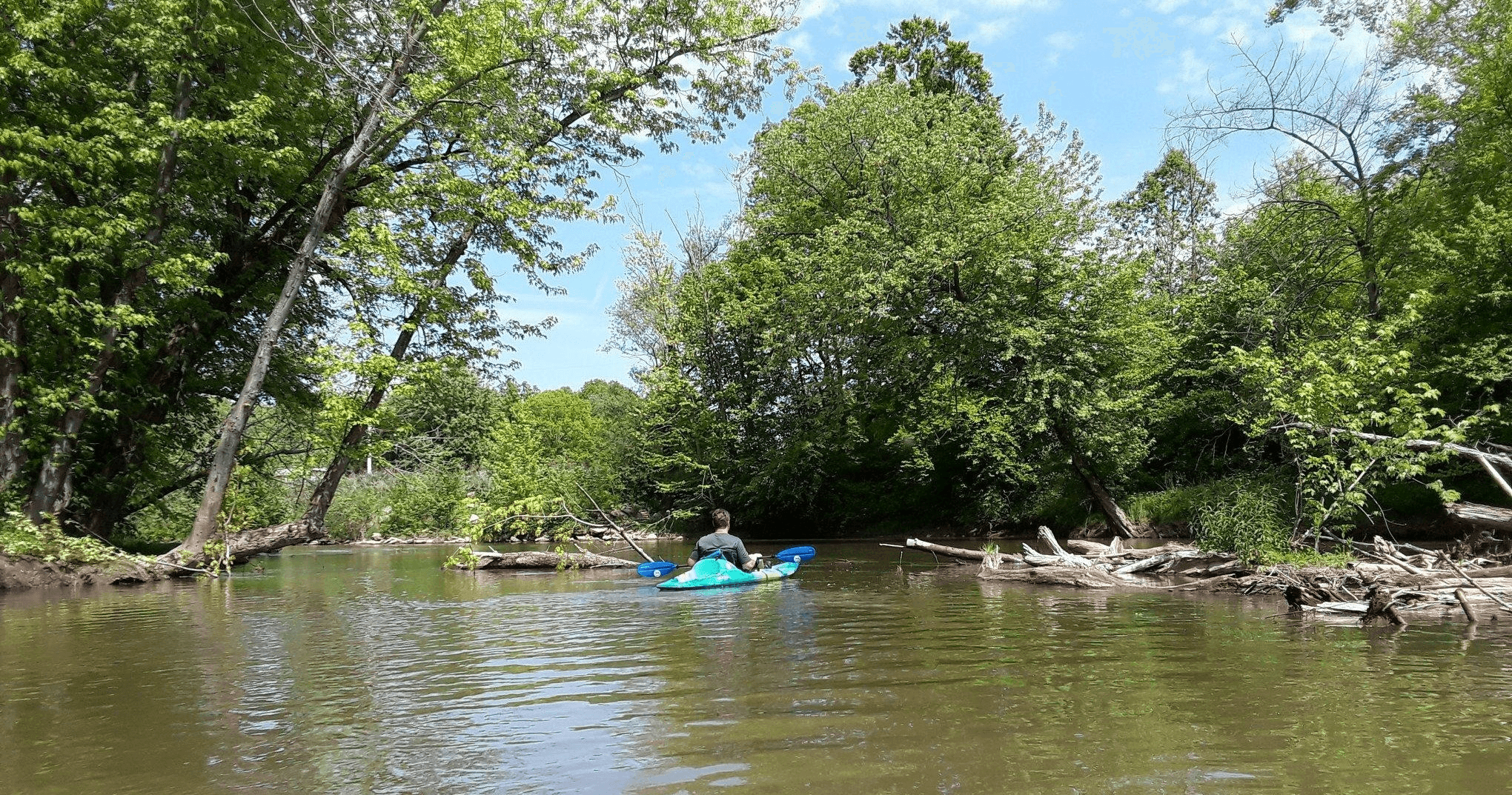 Kayaker paddling a calm, tree-lined river bend on a sunny day