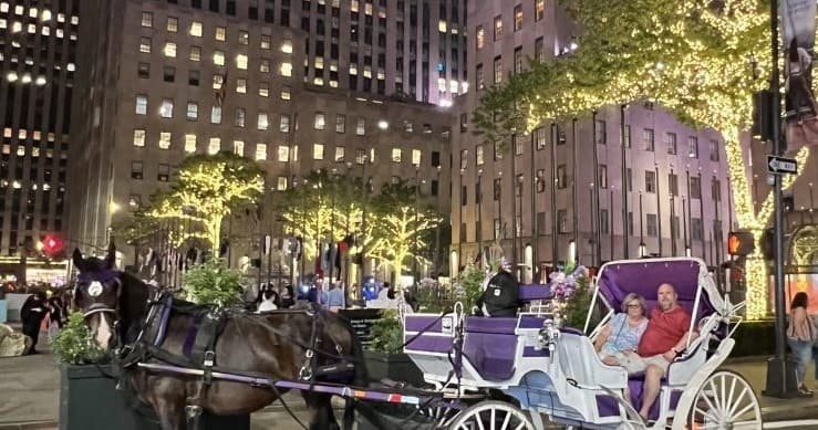 Winter Horse Carriage Tour with Noble Carriages in NYC