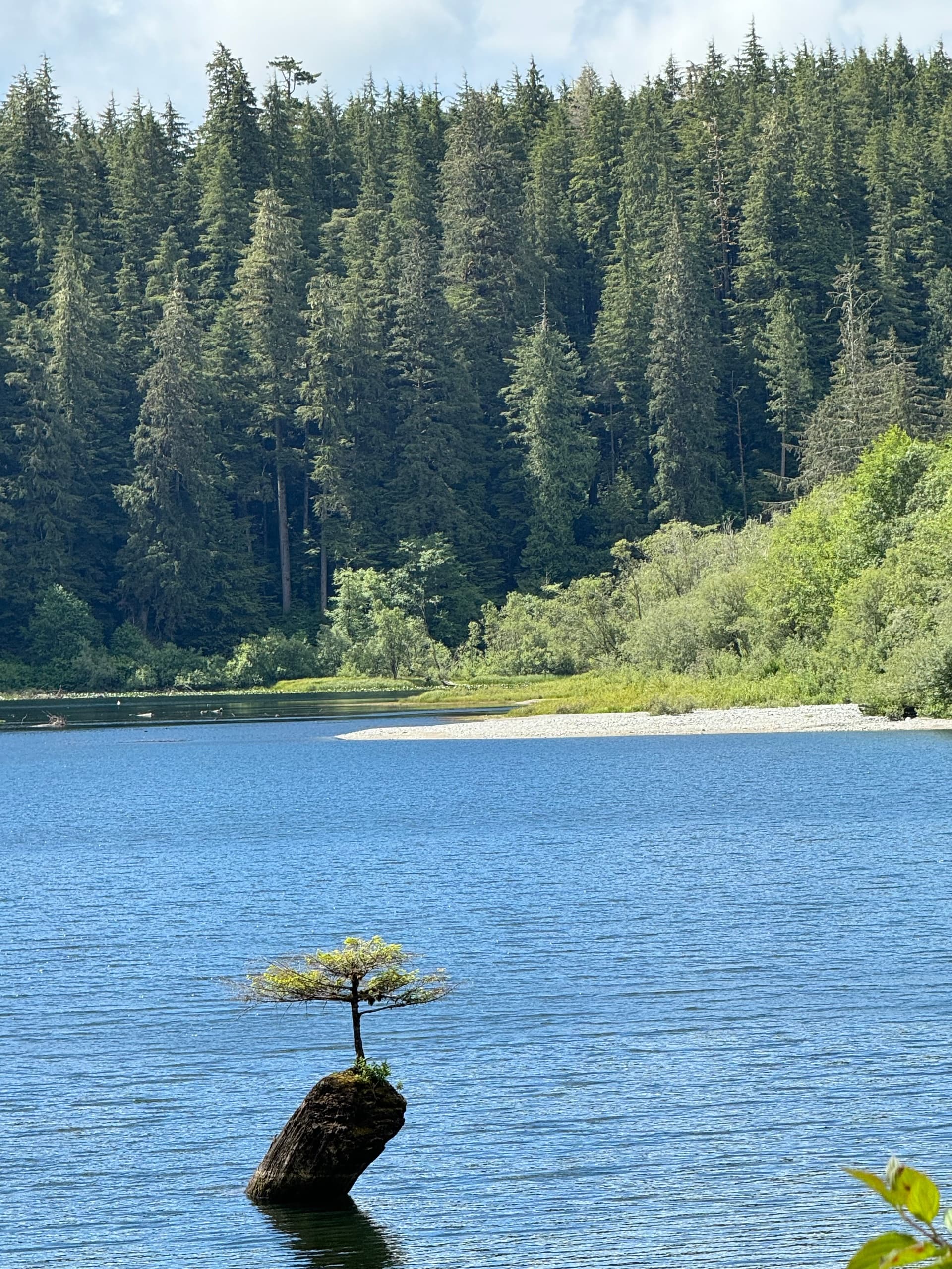 Wild Pacific Adventure: Surfside Tours Sooke to Port Renfrew