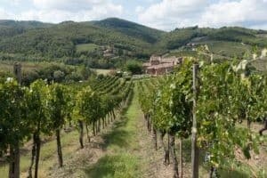 Private Chianti Classico & San Gimignano Wine Tour from Firenze