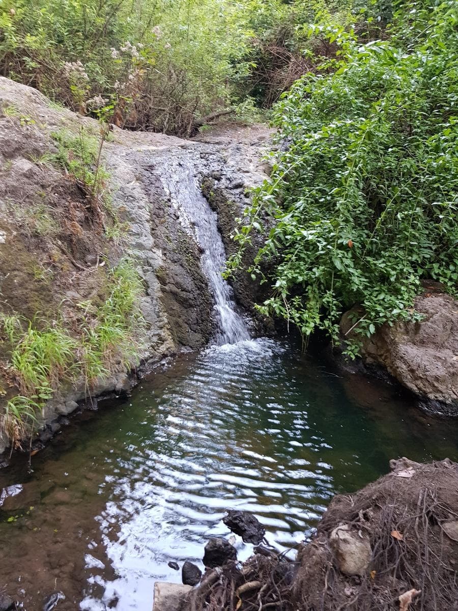 Senderismo por el Barranco de Azuaje