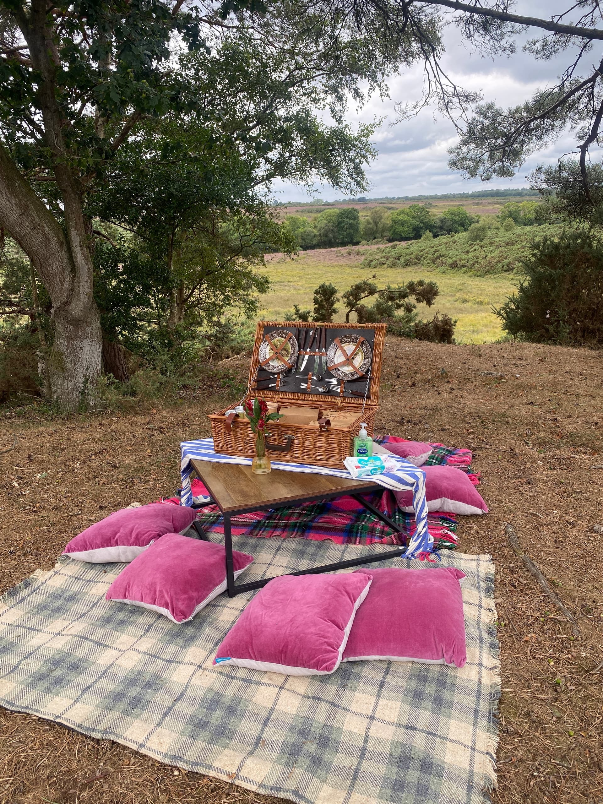 Two-Hour Picnic Hack: Horseback Lunch Across the New Forest
