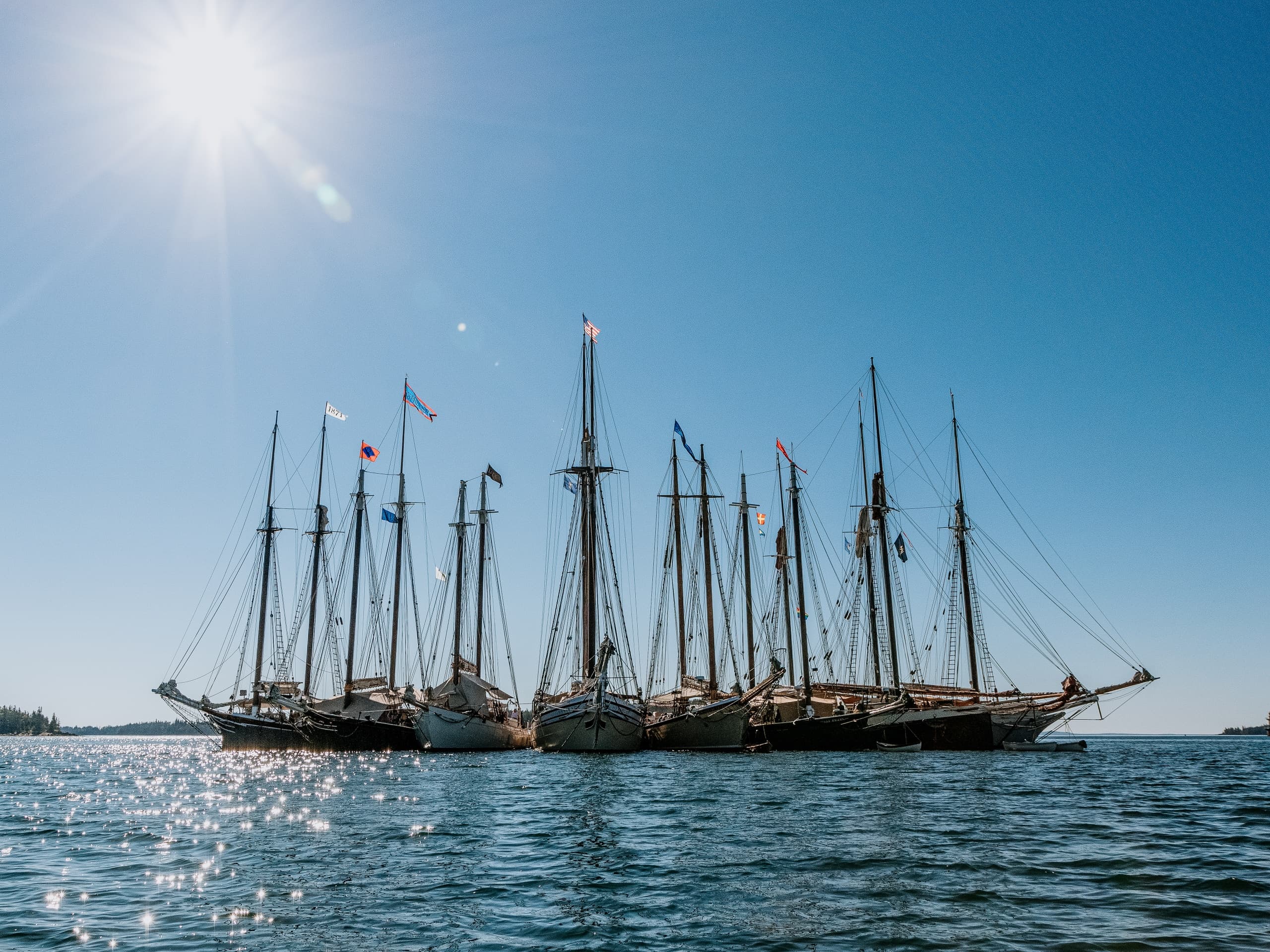 Tall ships sailing off Maine coast under bright sunny sky