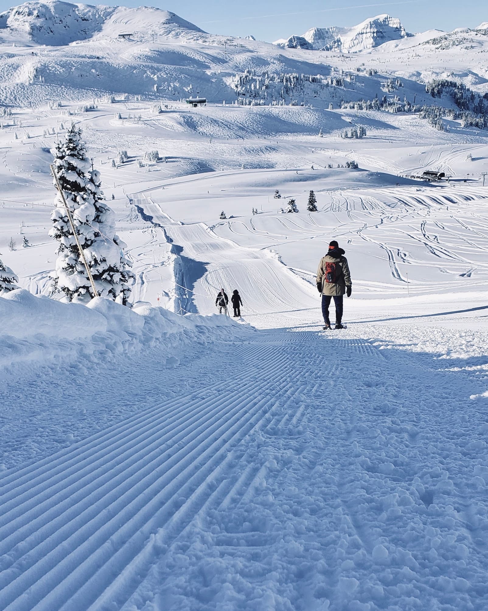 Sunshine Village Snowshoeing: Gentle Winter Meadow Walks Near Calgary photo 1