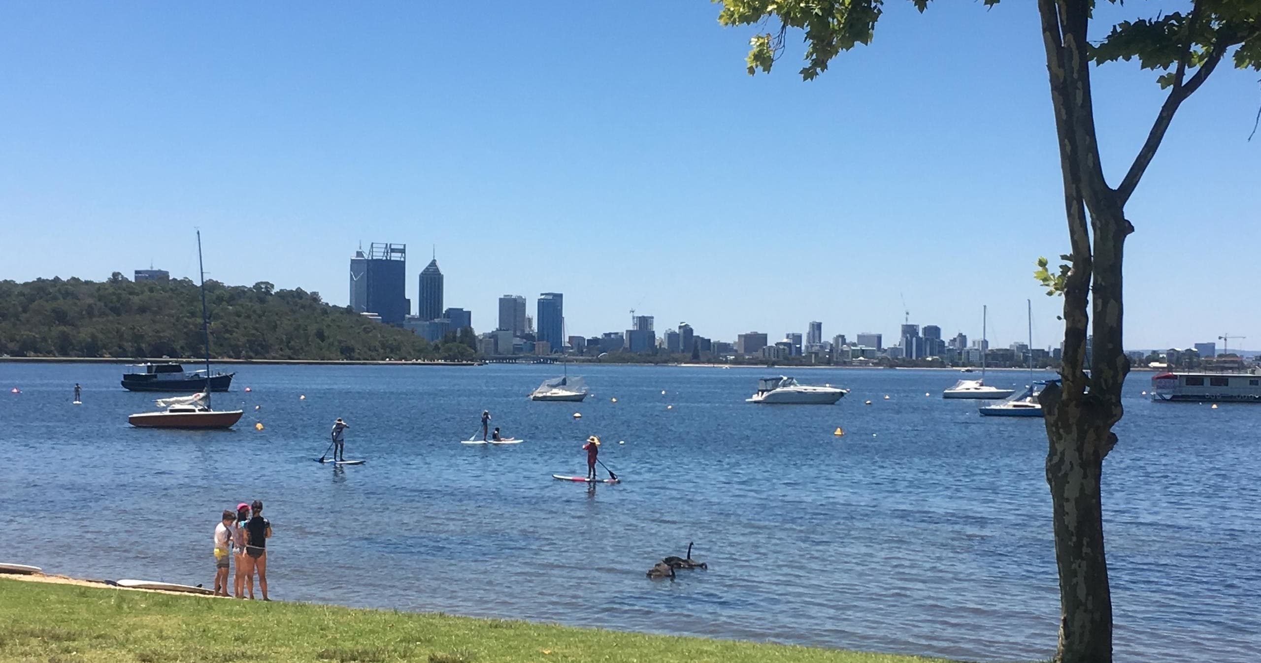Stand-up paddleboarding on calm bay with city skyline backdrop