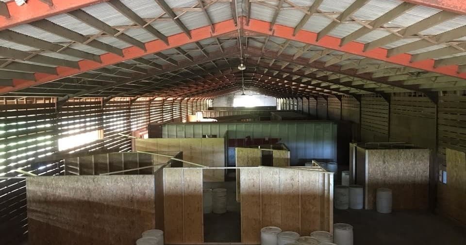 Thrilling Airsoft Battles at CQB Arena in Fayetteville, NC