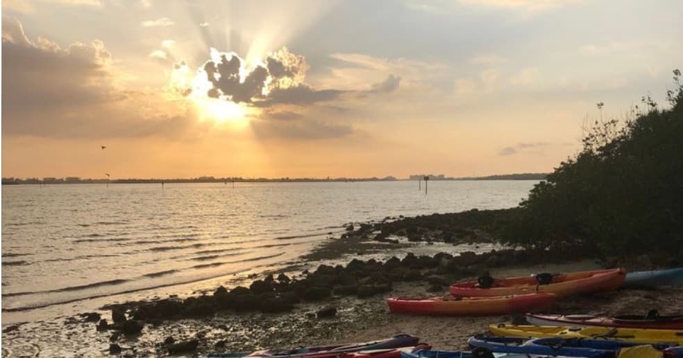 Kayaks on shoreline at sunset beside calm bay and mangroves