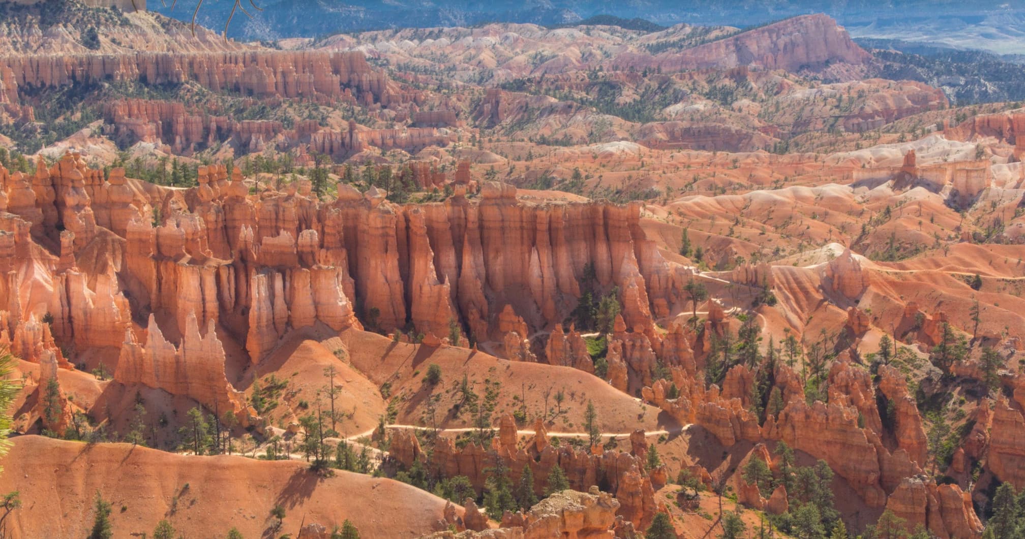 Bryce Canyon National Park Tour with Desert Solitude from Moab