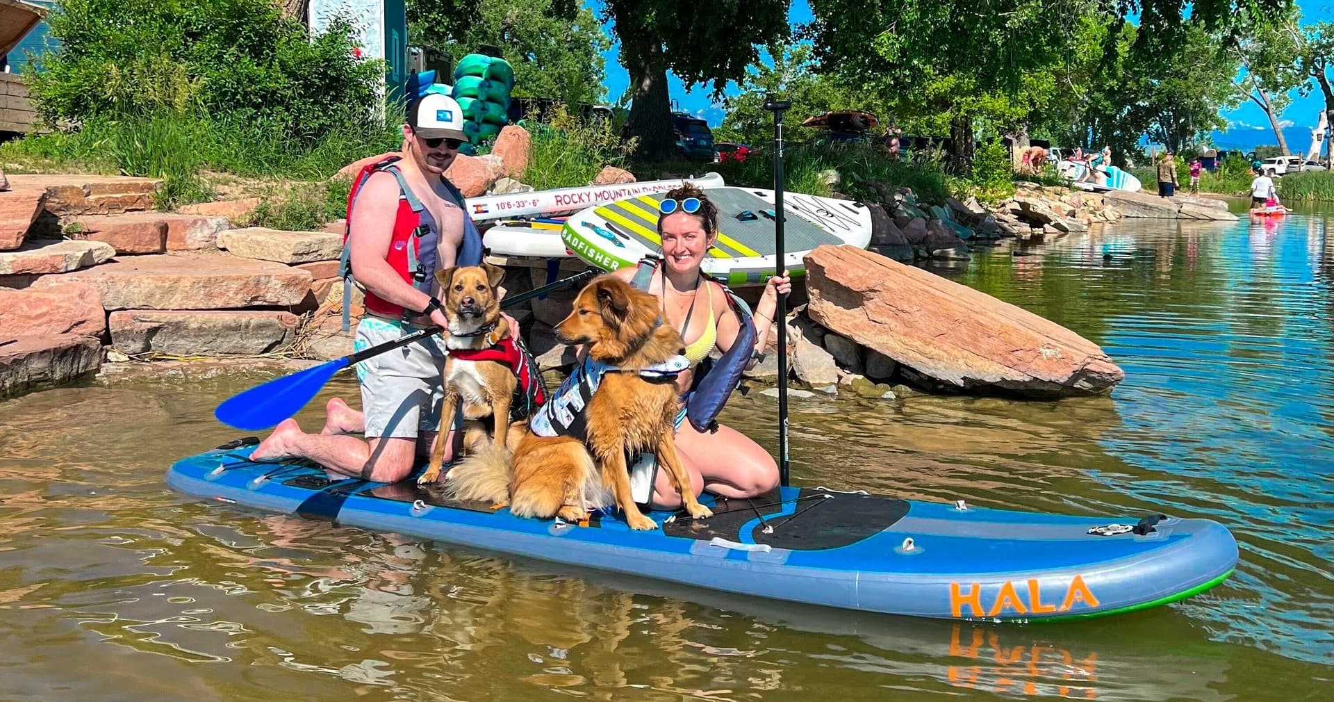 Dog Paddle Longmont: Fun Water Adventure with Your Pup