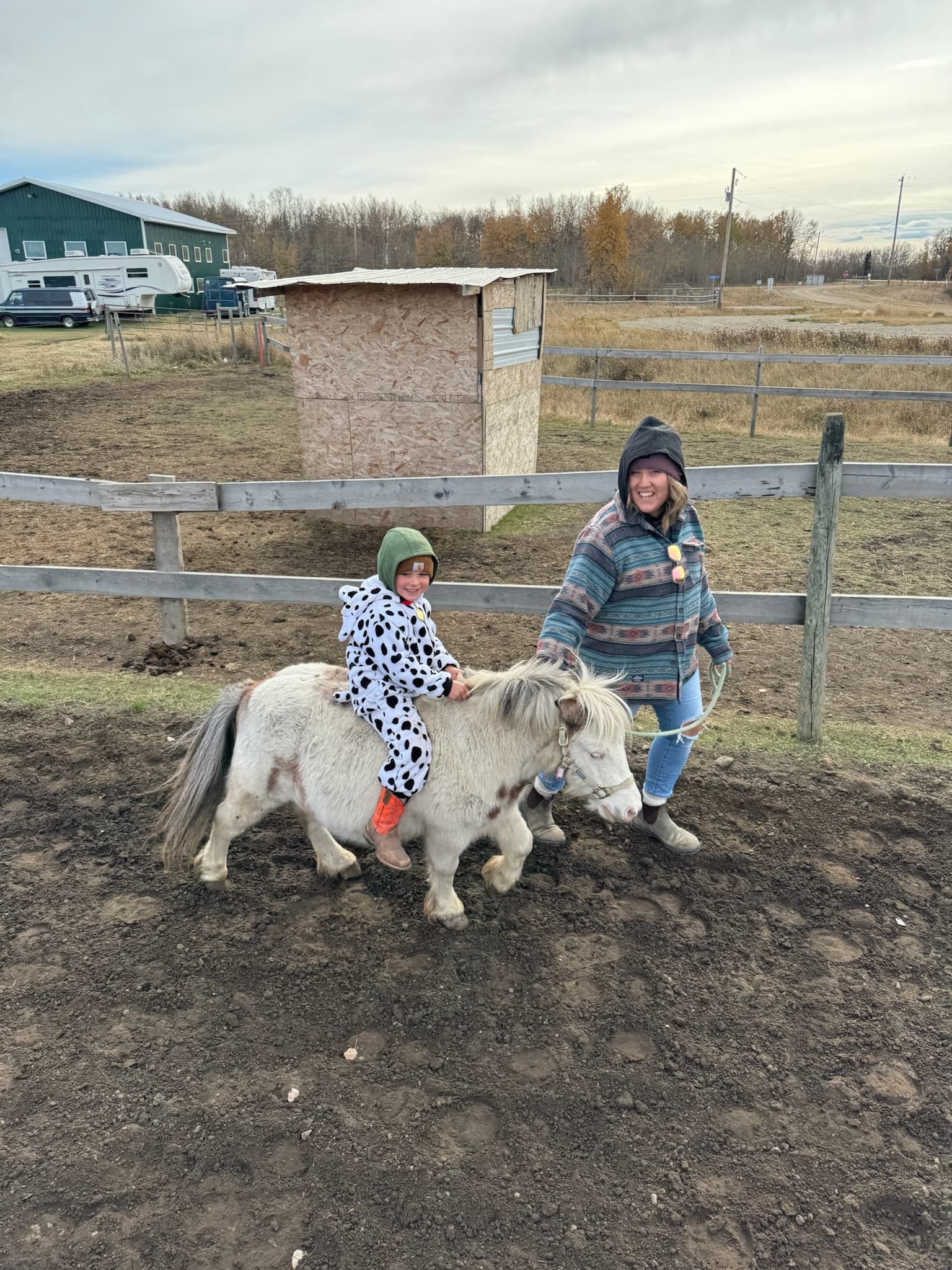 Mini Ranchers Summer Camp 2026: First Rides and Barn Skills at Wild West Ranch Alberta