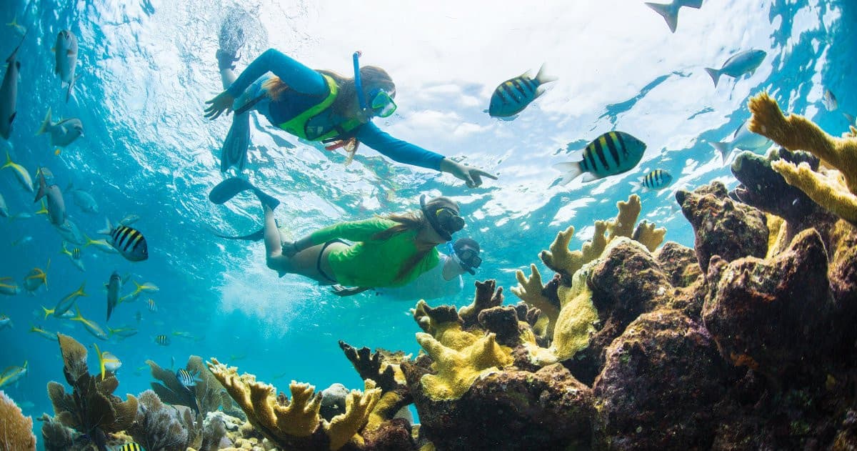 Private Snorkel Tours & Sunset Cruises with Snorkel the Keys