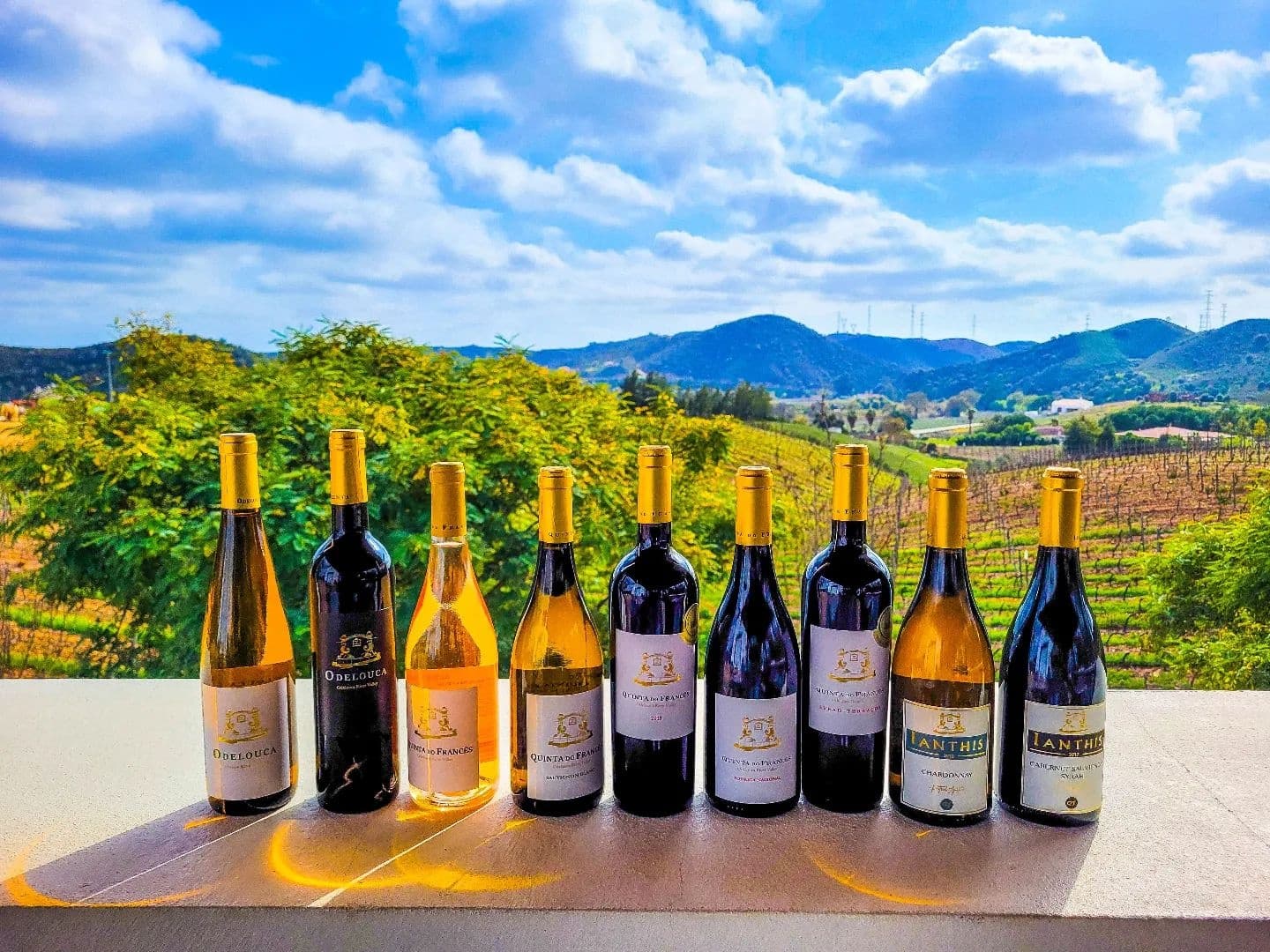 Wine Tasting & Village Tour near Lagos, Algarve