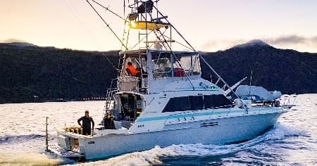 Catalina Scrambler: Guided 2-Tank Boat Dives from Avalon