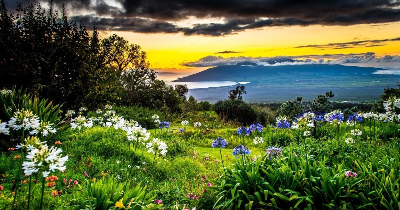 Upcountry Sunset Photography Tour in Makawao, Hawaii