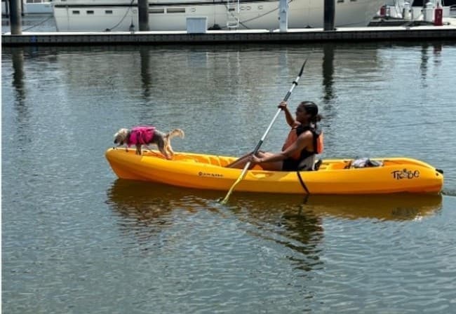 Water Activities: Kayaking with Columbia Island Marina in Washington, D.C.