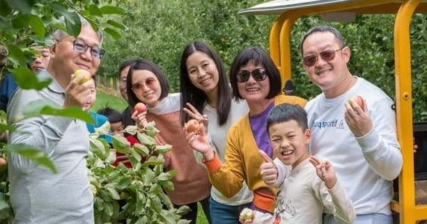 Jackson Orchards Guided Orchard Tour in Central Otago