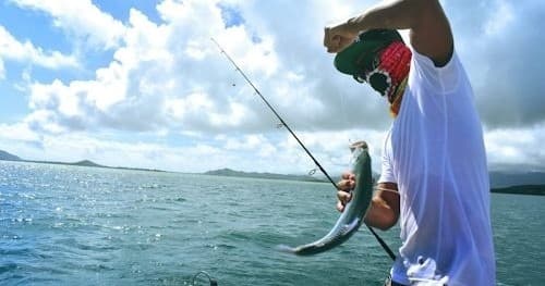 Angler landing a caught fish from offshore charter trip