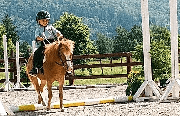 Alpine Stables team