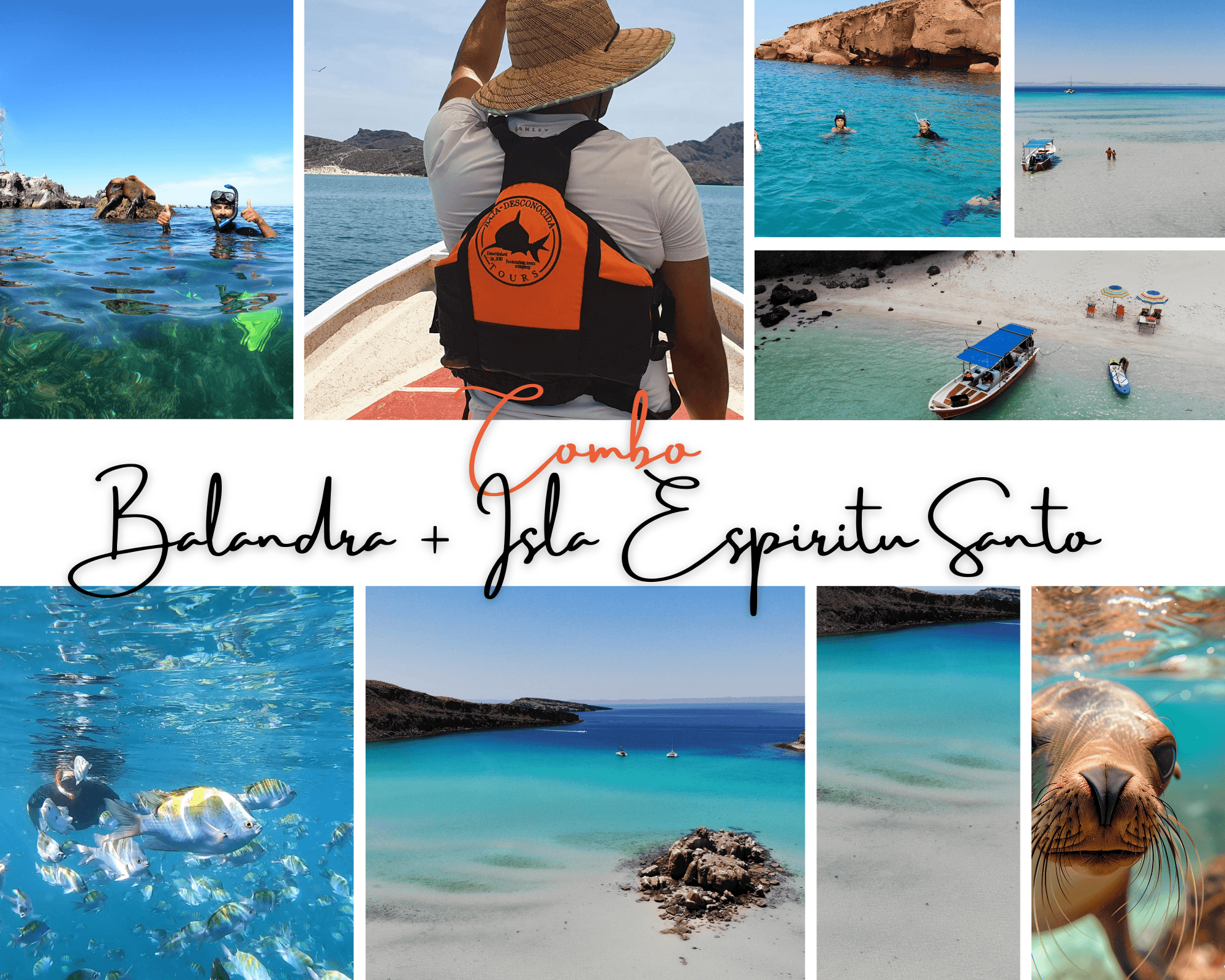 Water Activities with Baja Desconocida: La Paz Adventure