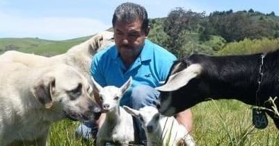 Senior Farm Tour at Harley Farms in Pescadero, CA
