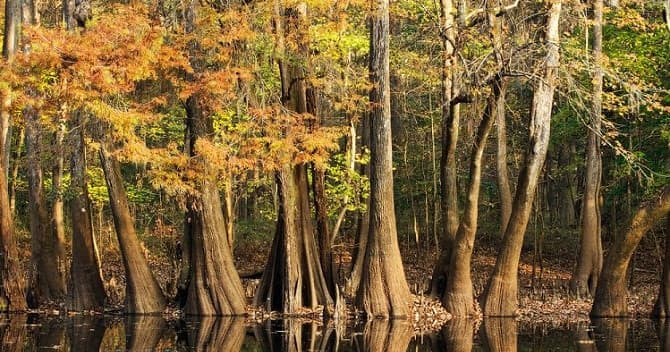 Stress-Free Family Travel with Baby Gear Rental on Hilton Head Island