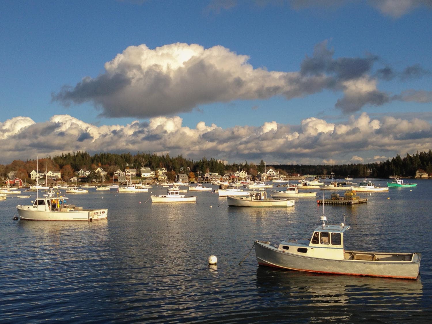 Vinalhaven Island Excursion | Photography Tour in Rockland | Ferry, Sightseeing Tour, History Tour, Marina, Boat Tour, Walking Tour, Guided Tour