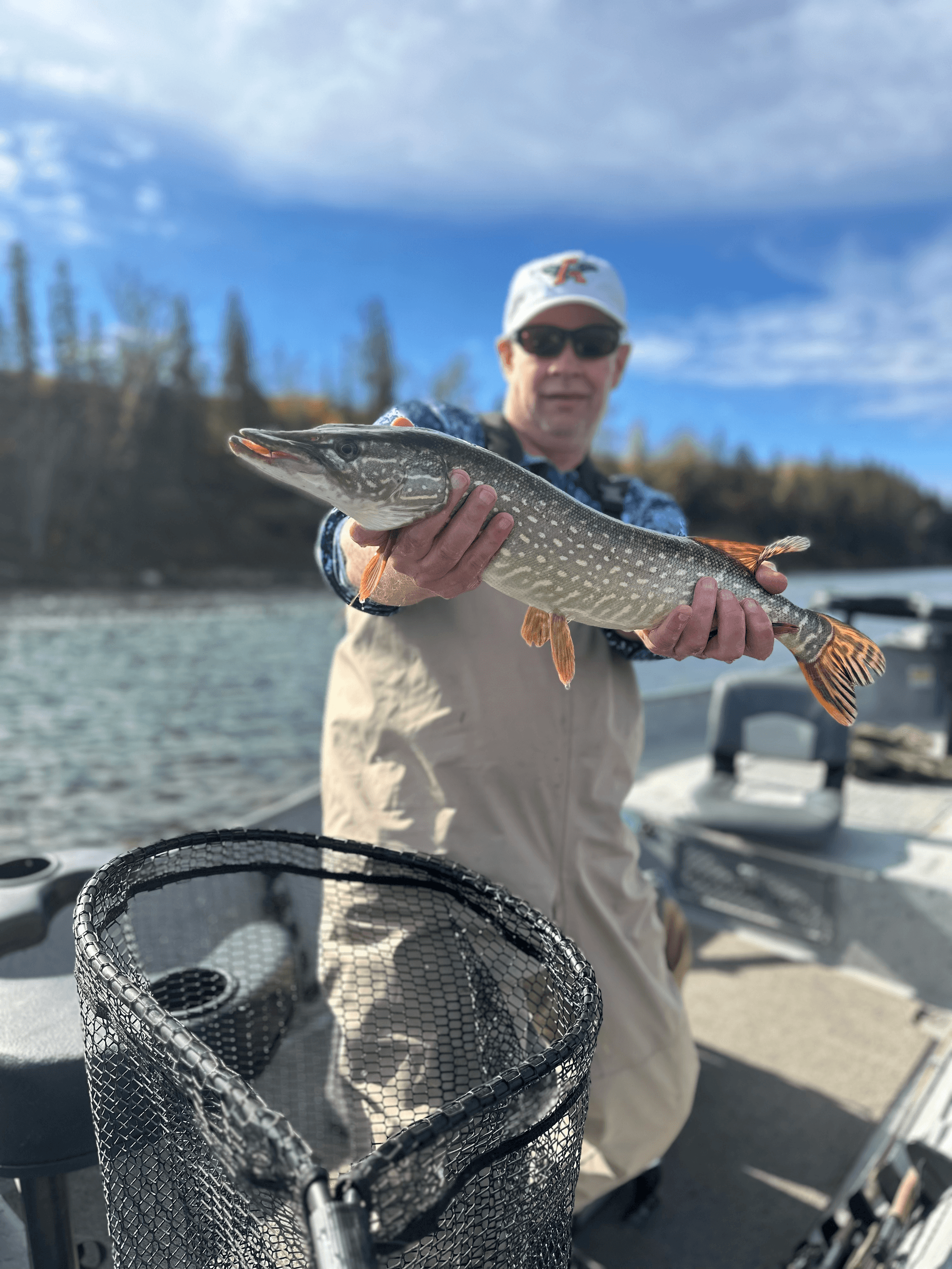 Pike On The Fly: Guided Northern Pike Fly-Fishing Near Calgary photo 4