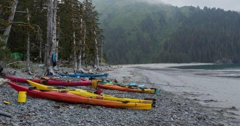 Ultimate Aialik Day Kayaking