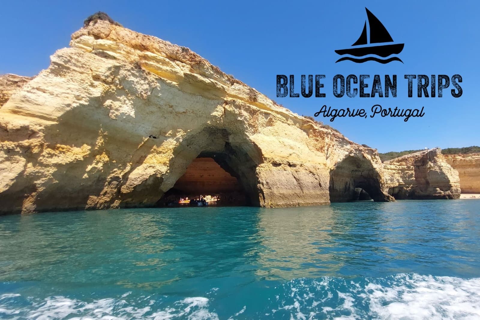 Blue Ocean Trips team