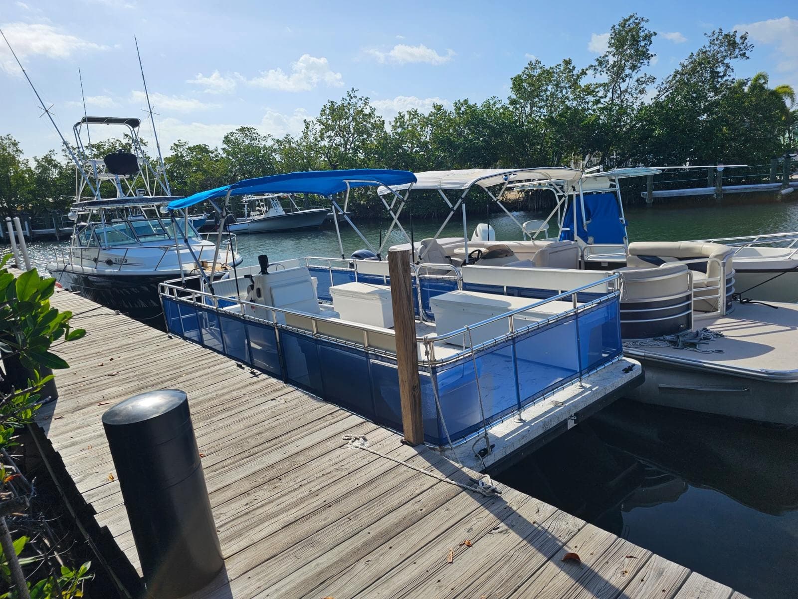 Docked pontoon near mangrove-lined Key West channel, waterfront