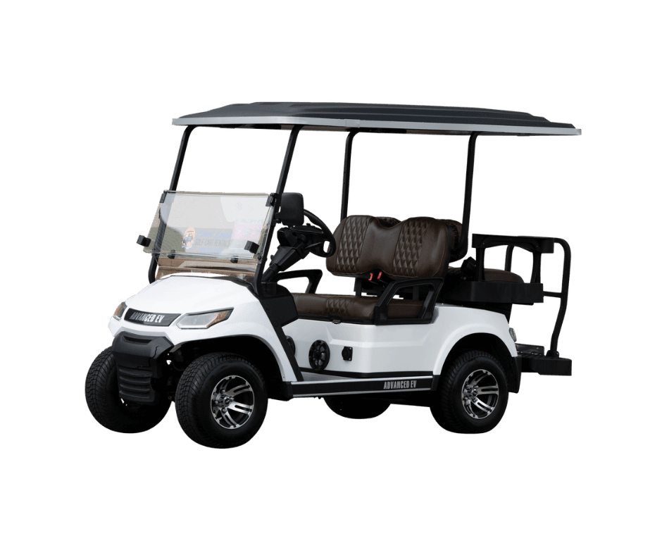 Land Adventures & Beach Cruises with Four Passenger Electric Golf Carts on the Emerald Coast