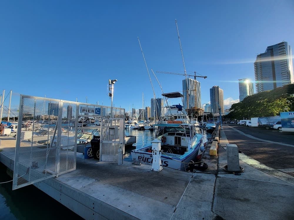 Private Oahu Whale Watching: Intimate 2-Hour Humpback Safari from Kewalo Harbor photo 3