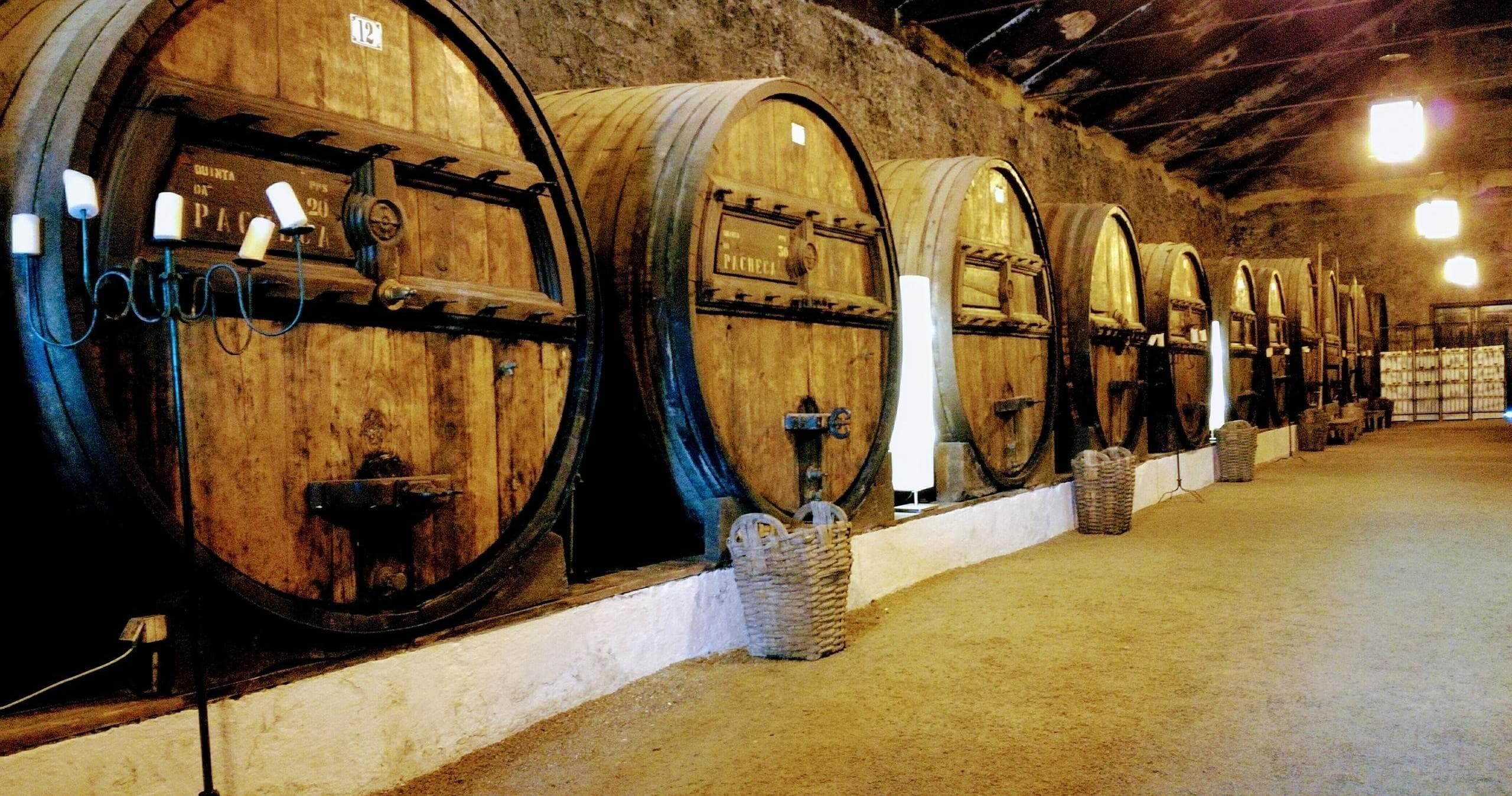 Douro Valley Wine Tour | Oporto Road Trips Portugal