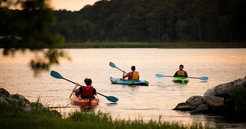 Group kayaking at sunset across serene lake inlet with paddles